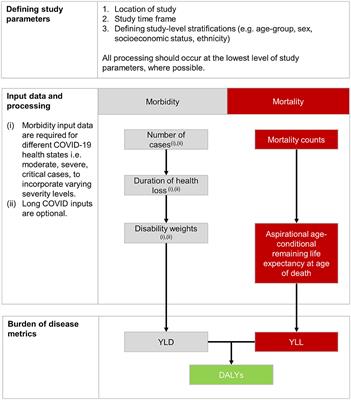 Frontiers | Burden Of Disease Of COVID-19: Strengthening The ...